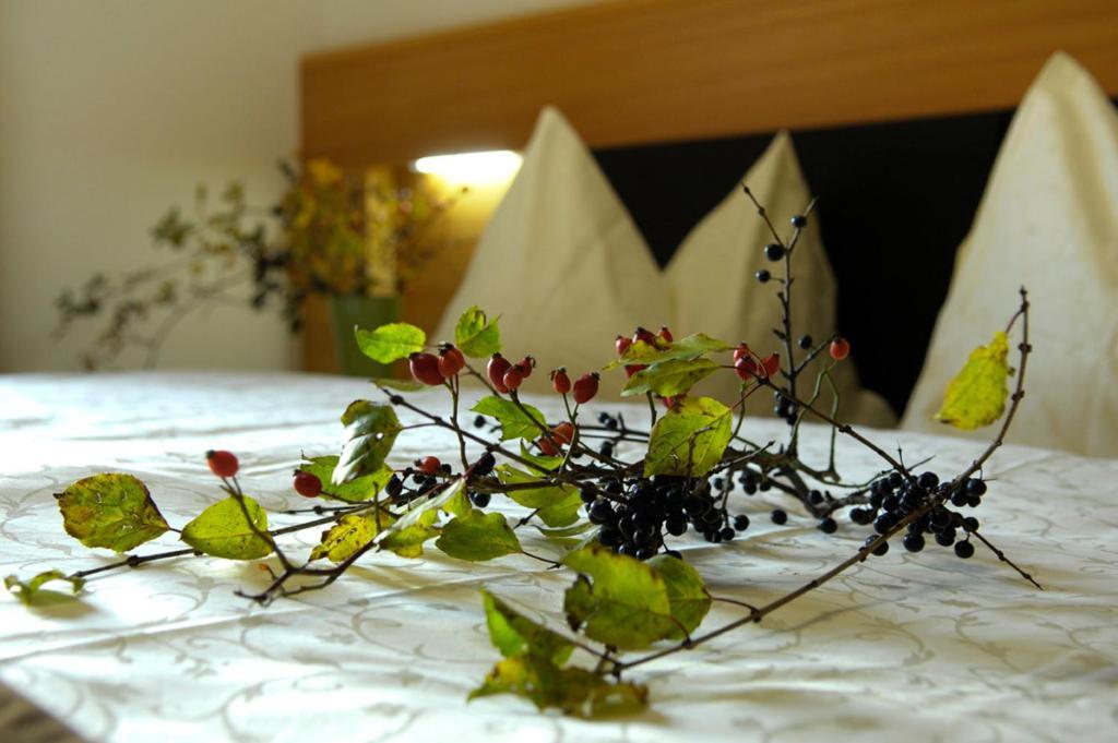 Villa Tilia Siusi Phòng bức ảnh